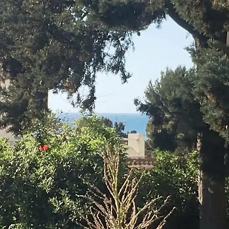 Sardinia Garden Holiday home Quartu Sant'Elena
