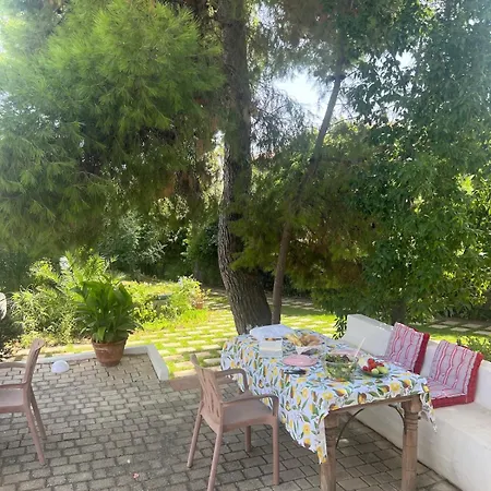 Sardinia Garden Holiday home